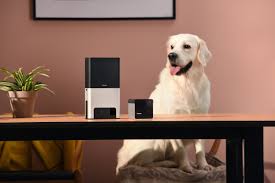 Petcube upgrades its pet cameras, which ...